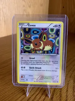 NM Eeveeloutions Pokemon BW 87-93 + XY 04 Holo Cards Black White Promos FULL SET - Image 4