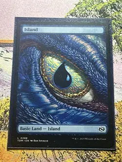 MTG Island (0288) - 288 / English / Near Mint - Image 2