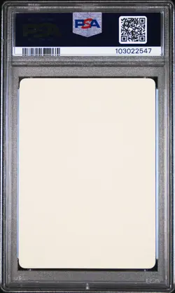 2020 POKEMON JPN S PROMO STICKER LET'S HAVE FUN! SPRING, POKEKA PSA 8 - Image 2