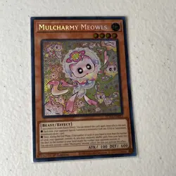 Yu-Gi-Oh TCG SUDA-EN025 Mulcharmy Meowls 1st Edition Secret Rare Card - Image 2