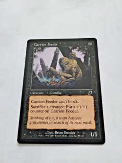 MTG Carrion Feeder Scourge Regular Common - Some Edge Wear - See Pics - Image 2