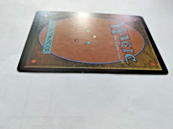 MTG Carrion Feeder Scourge Regular Common - Some Edge Wear - See Pics - Image 5