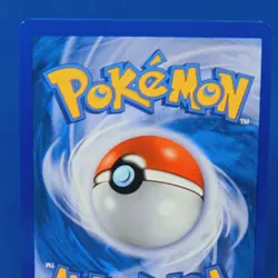Wailord Holo Rare 26/124 Dragons Exalted Pokemon Card Tcg Ccg 2012 - Image 5