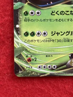 pokemon card Venusaur EX No.233/XY-P PROMO Japanese - Image 5