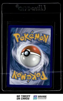 2022 Pokemon Sword & Shield Promo Ultra Premium Coll. Charizard Vstar #SWSH262 - Image 2
