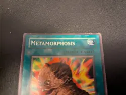 Yugioh - Metamorphosis PGD-090 - 1st Edition Pharaonic Guardian Yu-Gi-Oh! (MP) - Image 3