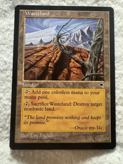 MTG - Wasteland - Tempest - NM - Free Shipping! - Image 1