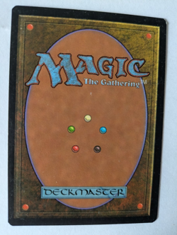 French City of Solitude Visions MTG Exc Free shipping with tracking - Image 2