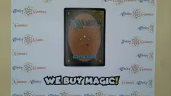 MTG | Adarkar Wastes | 9th Edition | Foil | Moderately Played | Italian - Image 2