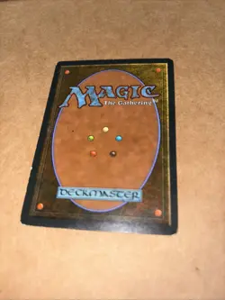 Savannah Revised Edition Regular - Image 4