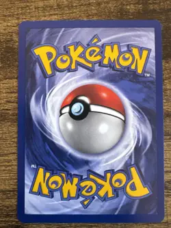 KIDS WB Presents POKEMON The First Movie 4 Great BLACK STAR PROMO SET cards 1999 - Image 2