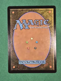 MTG Plains 0287 (Non-Foil) Tarkir: Dragonstorm Magic The Gathering - Image 3