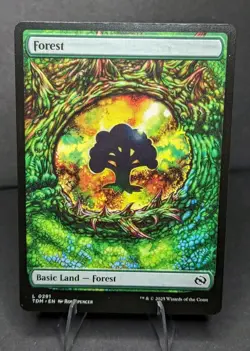 Forest (0291) Tarkir: Dragonstorm Regular - Image 1
