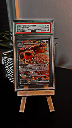 Pokemon TCG Dachsbun EX 169/142 Stellar Crown Special Illustration Rare PSA 9 - Image 1