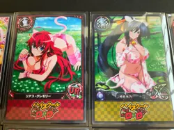 High School DXD Animals Complete Set! - 24 Cards READ DESCRIPTION -Goddess Story - Image 3