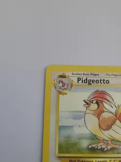 Pokemon TCG Pidgeotto Base Set 22/102 Regular Unlimited Rare - Image 4