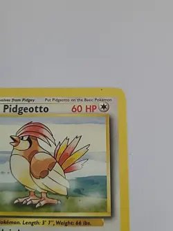 Pokemon TCG Pidgeotto Base Set 22/102 Regular Unlimited Rare - Image 5