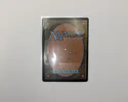 Hallowed Fountain - Ravnica Allegiance - MTG - NM - Image 2