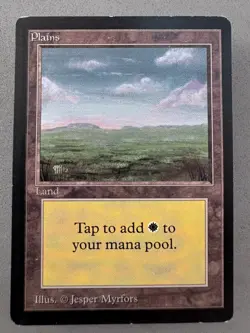 Plains (C) Limited Edition Beta MTG (card #290)-Lightly Played Excellent-Vintage - Image 1