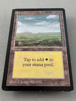 Plains (C) Limited Edition Beta MTG (card #290)-Lightly Played Excellent-Vintage - Image 3
