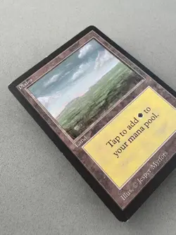 Plains (C) Limited Edition Beta MTG (card #290)-Lightly Played Excellent-Vintage - Image 4