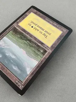 Plains (C) Limited Edition Beta MTG (card #290)-Lightly Played Excellent-Vintage - Image 5