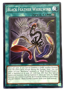 YuGiOh! - Black Feather Whirlwind - MP23-EN195 - 1st Edition - Common - Image 1