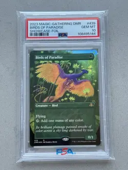 PSA 10 ~ Birds of Paradise #439 Showcase FOIL - MTG Dominaria Remastered DMR - Image 3