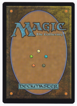 MTG Errors - Inking - MOM Aftermath R Training Grounds #0009 [COPY #1] - Image 2