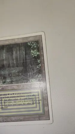 Bayou Revised Edition Regular - Image 2