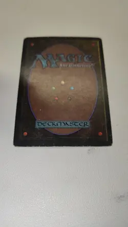 Bayou Revised Edition Regular - Image 3