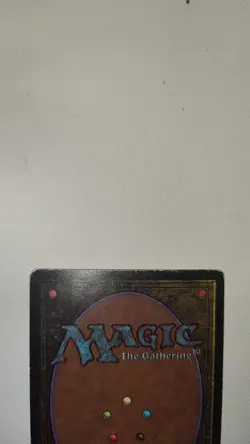 Bayou Revised Edition Regular - Image 4