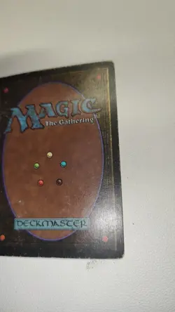 Bayou Revised Edition Regular - Image 5