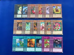 Yu-Gi-Oh! - Complete Plant Princess Deck - Image 1