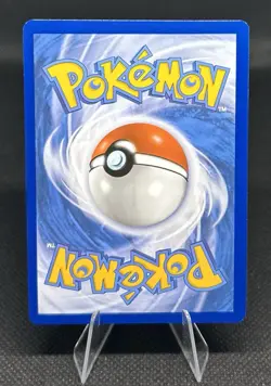 Pokemon Dachsbun EX 169/142 Stellar Crown Special Illustration NM Condition - Image 2