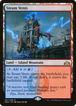 MTG Foil - Steam Vents - 257 / LP / English - Image 1