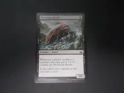 Mortician Beetle x1 MTG Modern Masters Common Black Creature NM - Image 1