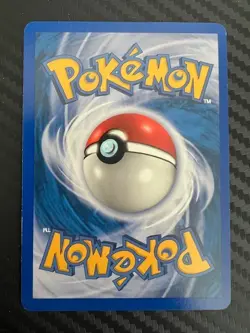 Pokemon TCG Totodile Expedition Base Set 134/165 Regular Common LP/MP - Image 2