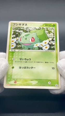 (MP) Charmande Bulbasaur Squirtle Promo Meiji Charmande 2004 Pokemon Card JP - Image 2