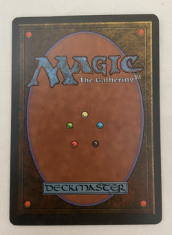 1x Primal Order Homelands MTG Magic the Gathering LP - Image 2