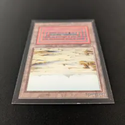 MTG \>> Badlands (EX) <<// Collectors' Edition - 341 Trading - Magic - Image 4