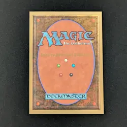 MTG \>> Scrubland (NM) <<// International Edition - 341 Trading - Magic - Image 2