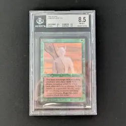 MTG \>> Camouflage (BGS 8.5) <<// Alpha - 341 Trading - Magic - Image 1