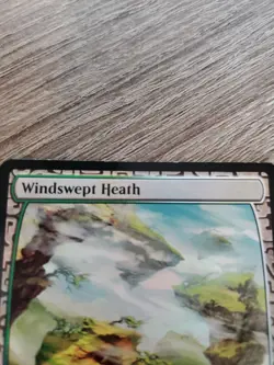 MTG Windswept Heath Battle for Zendikar - Expeditions 020/045 Foil Mythic - Image 2