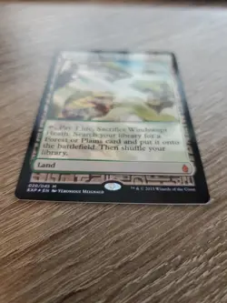 MTG Windswept Heath Battle for Zendikar - Expeditions 020/045 Foil Mythic - Image 3