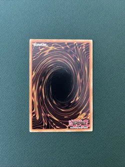 Gyaku-Gire Panda DCR-EN021 Common Unlimited 25th Anniversary Edition - Image 2