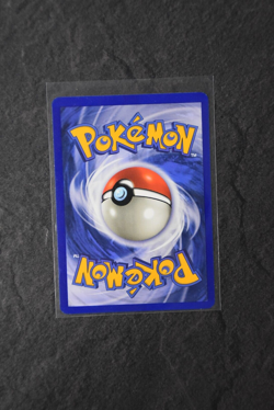 Slowpoke 1st Edition - 53/62 - Common Card - Fossil Set 1999 WOTC Pokemon - Image 2