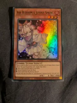 Yu-Gi-Oh! Ash Blossom & Joyous Spring - Image 1