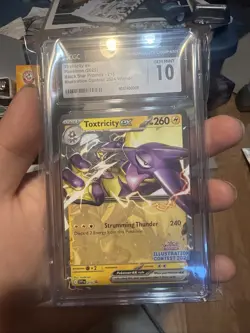 Toxtricity EX Illustration Contest 2024 SVP 215 Black Star Promo Pokemon TCG - Image 1