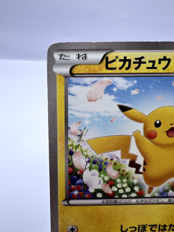 Pokemon Card Pikachu 151/BW-P Classroom Promo Japanese - Image 2